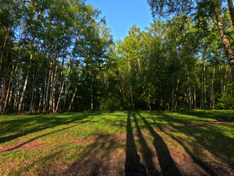 Similar image 22474166