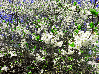 Similar image 22474330