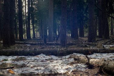 Similar image 22473920