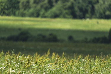 Similar image 22474039