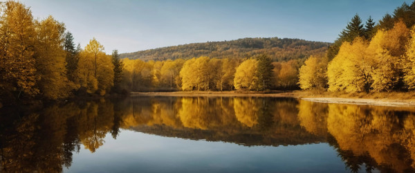 Similar image 22469002