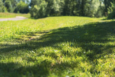 Similar image 22473968