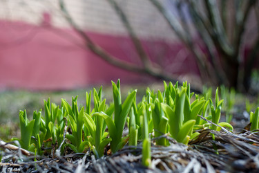 Similar image 22474139