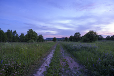 Similar image 22474140