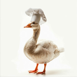 Similar image 22473933