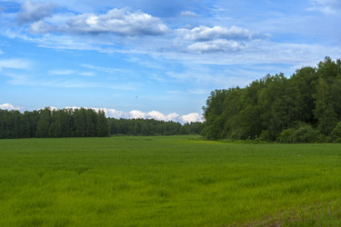 Similar image 22474227