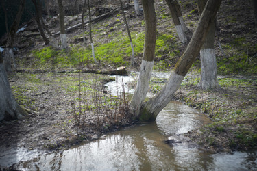 Similar image 22473861