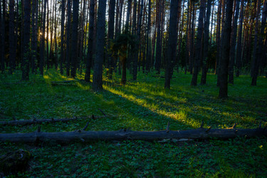 Similar image 22474026