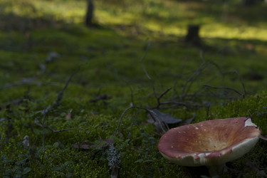 Similar image 22473823