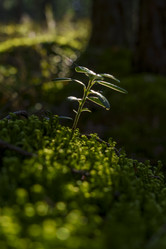 Similar image 22473865