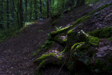 Similar image 22474029