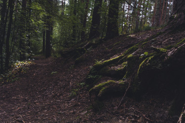 Similar image 22474072