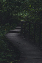 Similar image 22474115