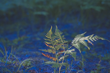 Similar image 22474203