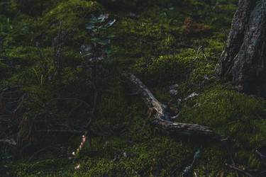 Similar image 22474280