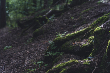 Similar image 22473910