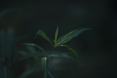 Similar image 22473998