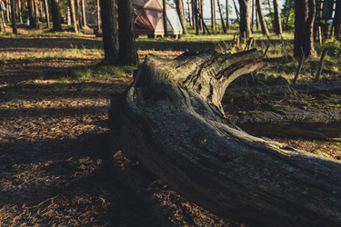 Similar image 22474030