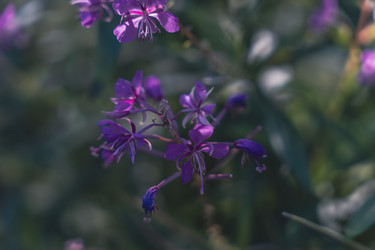 Similar image 22474073