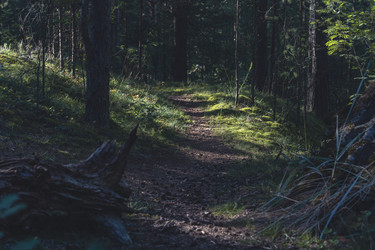 Similar image 22474116