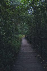 Similar image 22474204