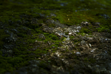 Similar image 22474235