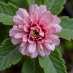 Similar image 22469022