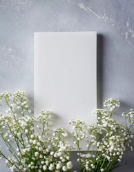 Similar image 22469025