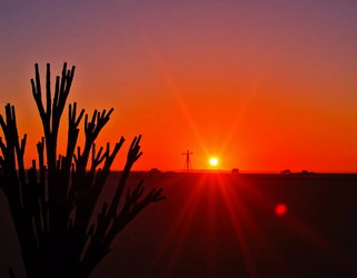 Similar image 22469027