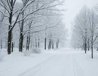 Similar image 22432913