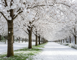 Similar image 22432914