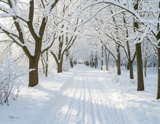 Similar image 22432916