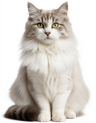 Similar image 22432919