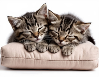 Similar image 22432948