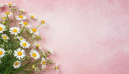 Similar image 22433218