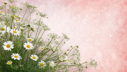 Similar image 22433220