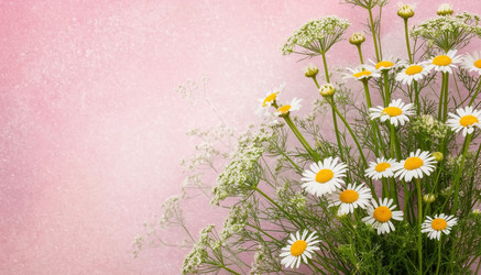 Similar image 22433223