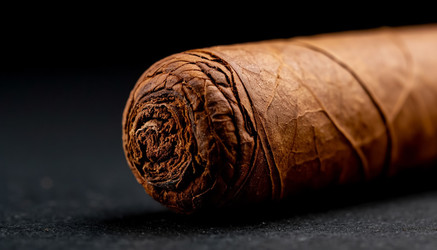 Similar image 22433498