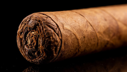 Similar image 22433502