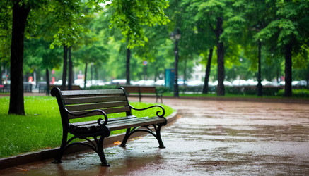 Similar image 22433583