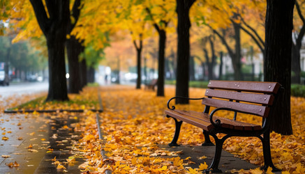 Similar image 22433602