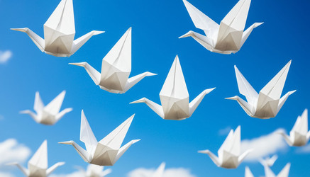 Similar image 22433645