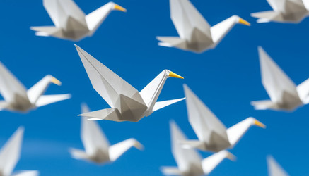 Similar image 22433655