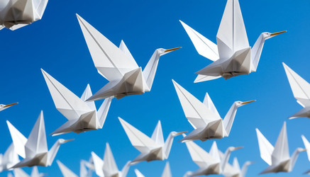 Similar image 22433659