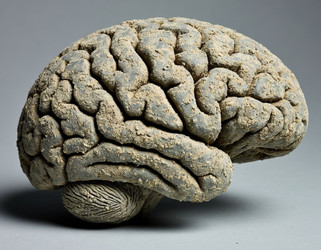 Similar image 22433690