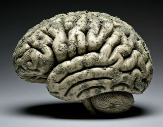 Similar image 22433692