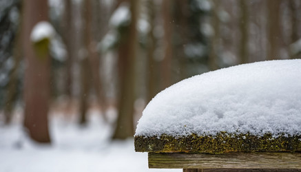 Similar image 22433726