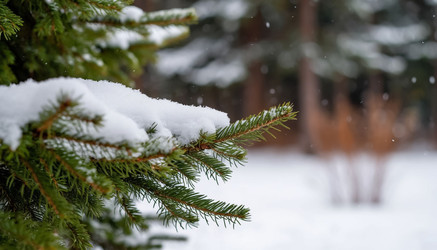 Similar image 22433731