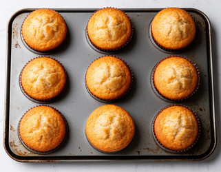 Similar image 22433783