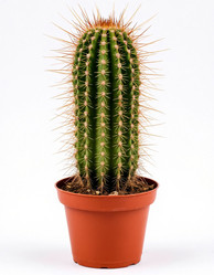 Similar image 22414834